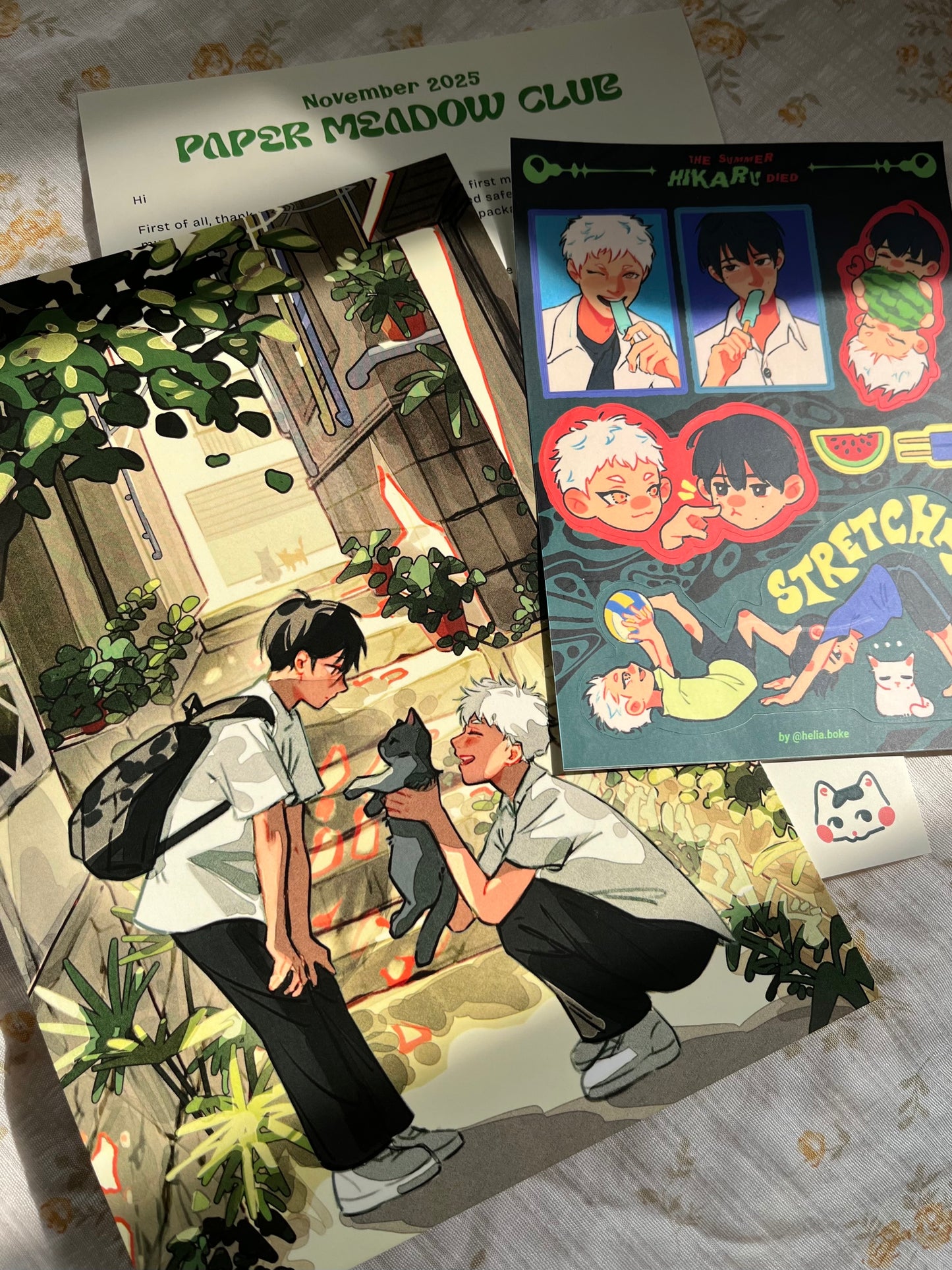 PAPER MEADOW MAIL CLUB - Membership