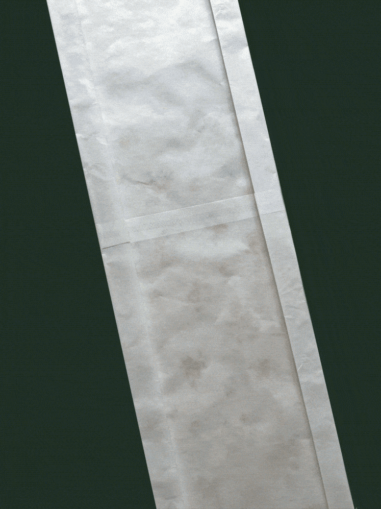 PAPER MEADOW MAIL CLUB - Membership